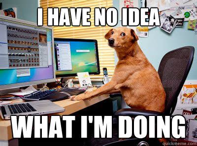 I have no idea What I'm doing - Computer dog - quickmeme