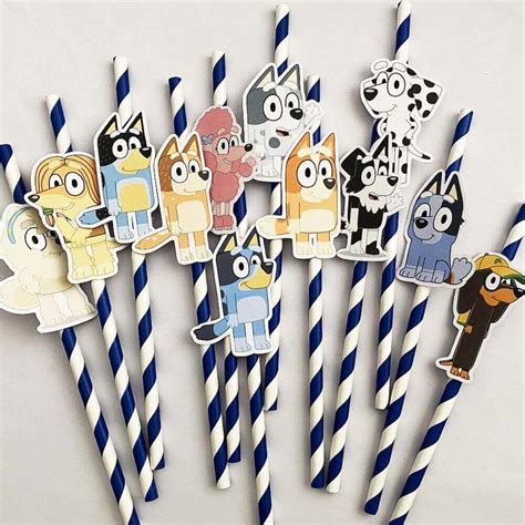 Party Favors Bluey Party Supplies Bluey Party Favors for girls and boys 16PCS Bluey Themed ...