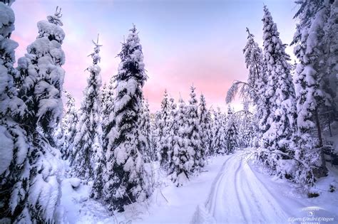 Ut på tur i vinter skogen - BAPhoto