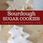 Sourdough Sugar Cookies - Farmhouse on Boone