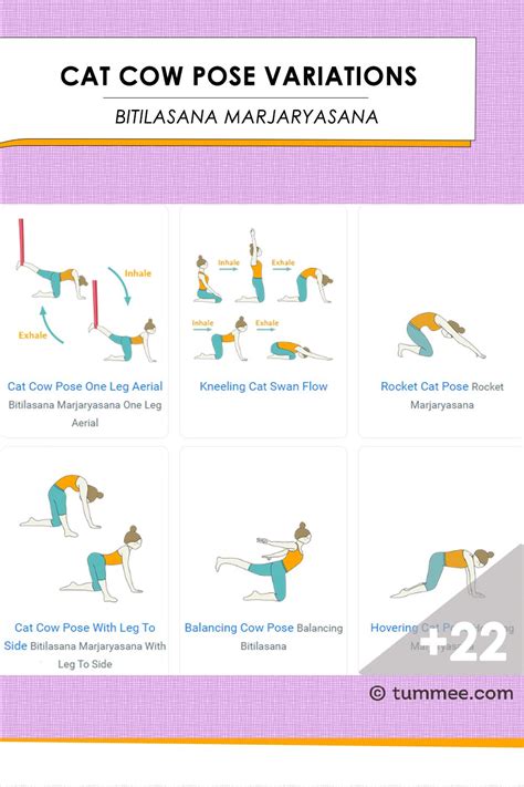 Cat Cow Pose (Bitilasana Marjaryasana) Variations - 40 variations of ...