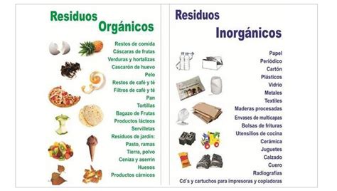 50 Examples of Organic Trash - Examples Lab