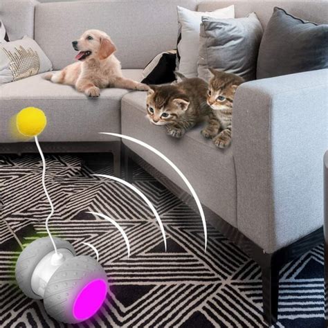 Automatic Interactive Cat Toy That Make Them Entertained - Sefsed.com