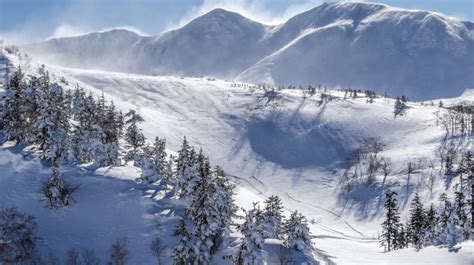 Japan in December: Sunny Weather and Snowy Slopes | Bookmundi