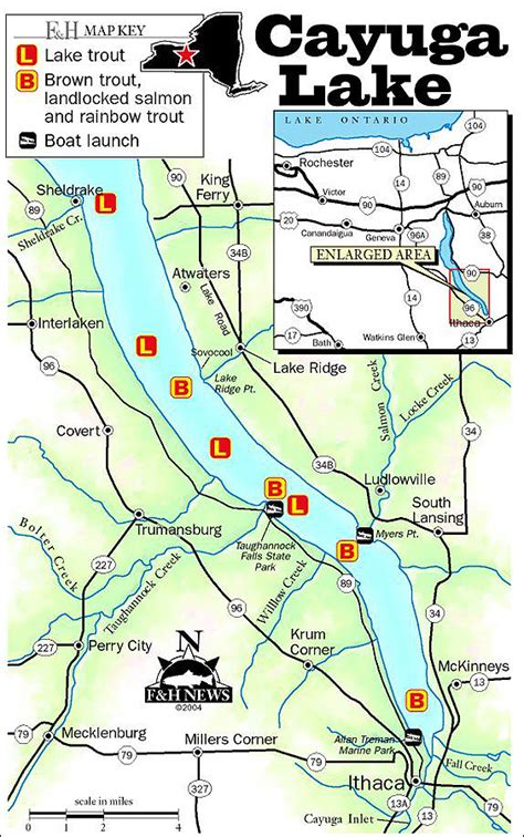 Fish southern quarter for Cayuga salmonids - TotalFlyFishing.com