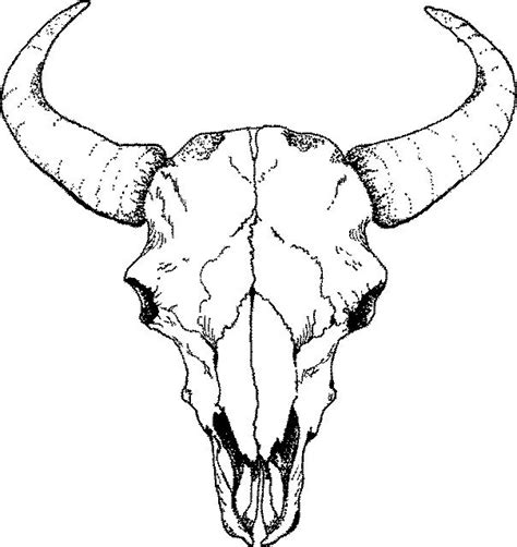 Buffalo Skull Drawings Sketch Template | Skulls drawing, Skull drawing sketches, Animal skull ...