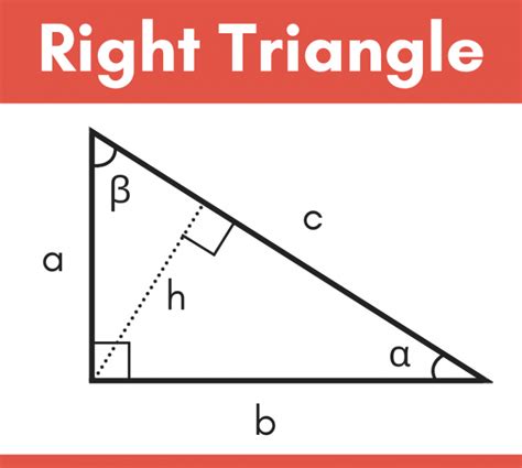 Right Triangle Calculator - Solve Any Edge or Angle - Inch Calculator