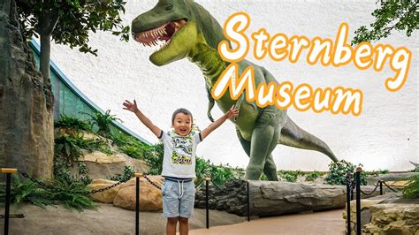 Vincent's vlog #10 - New exhibits at Sternberg Museum - YouTube