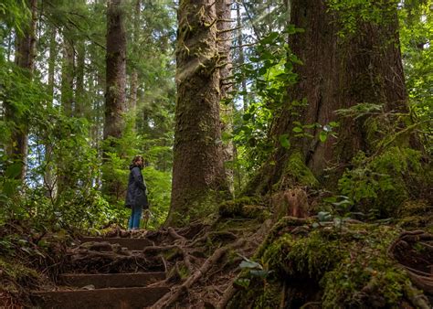 Vancouver Island Walking And Hiking Trails | Map