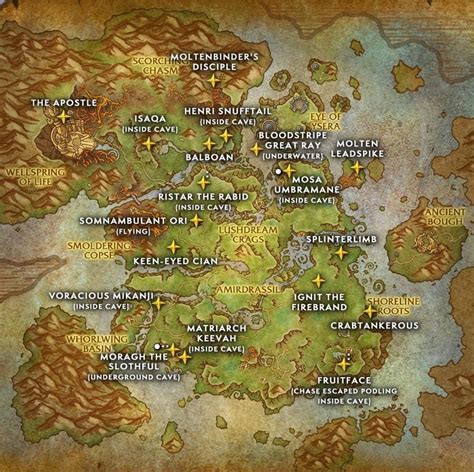 Aperçu des rares + emplacement pour le rêve d'émeraude : r/wow