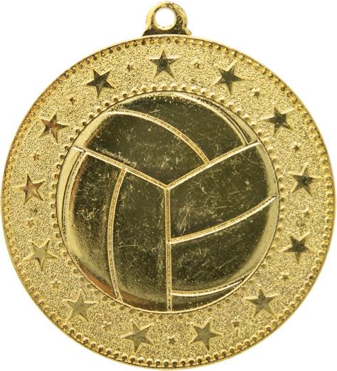 Amazon.com : Express Medals Gold Volleyball Medal Trophy Award with ...