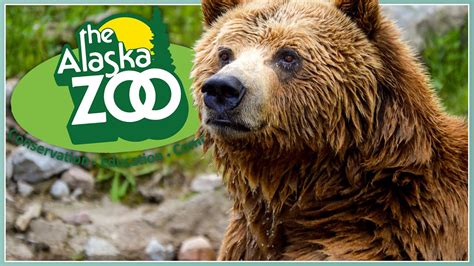 Let's Explore The Alaska Zoo! | Zoo Tour - YouTube