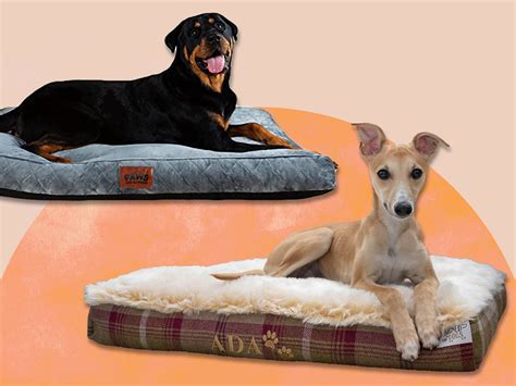 Best dog bed 2023: From large to washable and luxury beds | The Independent