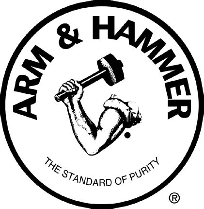 ARM&HAMMER Graphic Logo Decal Customized Online