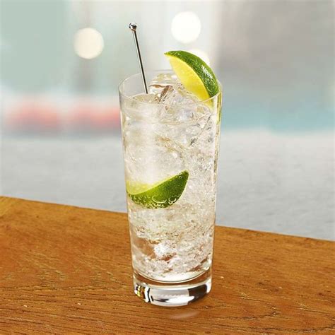 Vodka Tonic- perfect aperitif or drink with friends