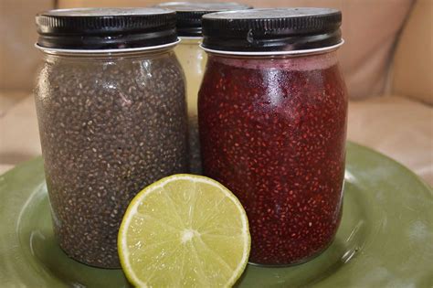 Chia Seed Recipes for Drinks (Paleo, Vegan, Raw) – Mind Body Oasis