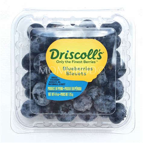 Driscoll's Peru Blueberry — MomoBud