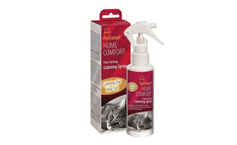 The Best Cat Calming Sprays (Review) in 2021 | My Pet Needs That