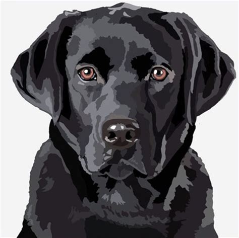 собака | Labrador art, Pet portraiture, Dog paintings