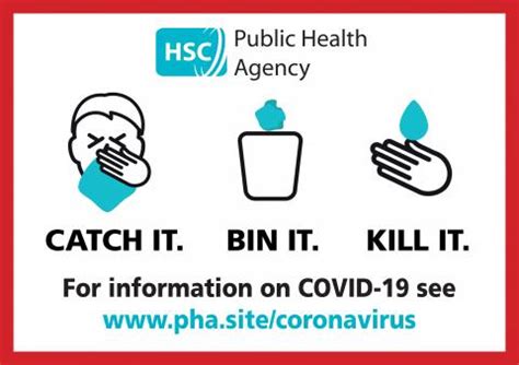 Catch it, bin it, kill it poster | HSC Public Health Agency