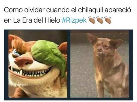 La historia completa del Perro Chilaquil, el meme que hace reír a todo México - Univision