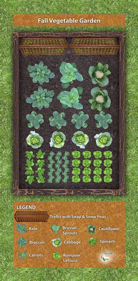 Fall Vegetable Garden Plan | Fall garden vegetables, Vegetable garden planning, Vegetable garden ...