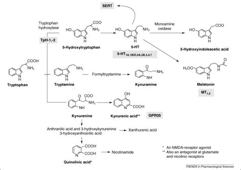 5-Hydroxytryptamine and the gastrointestinal tract: where next?: Trends ...