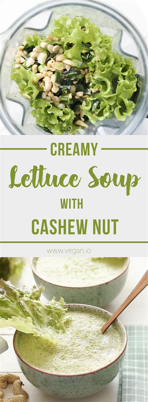 Creamy Lettuce Soup with Cashew Nut | Recipe | Lettuce soup, Nourishing foods, Recipes