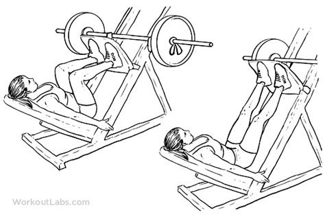 Leg Press / Machine Squat Press | WorkoutLabs