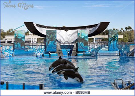 SeaWorld Orlando Shows - ToursMaps.com