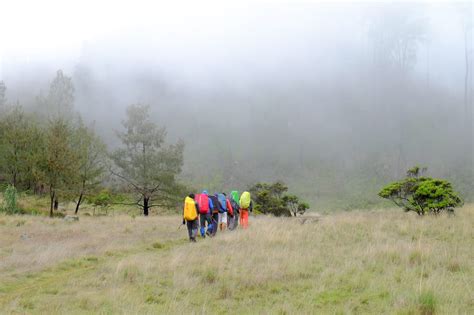 45+ Gunung Tertinggi Di Indonesia Yang Indah Dan Wajib Di Kunjungi - Sekolahnesia