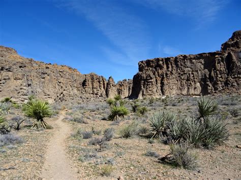 Mojave National Preserve – WatsonsWander