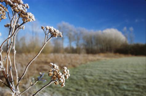 Free photo: Winter Landscape - Frozen, Ice, Landscape - Free Download - Jooinn