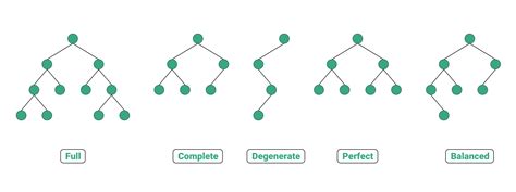 Different Types of Binary Tree with colourful illustrations | by Anand K Parmar | Towards Data ...