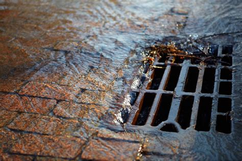 What To Expect During A Blocked Stormwater Drains Service in Auckland? - Serving Food That Rocks