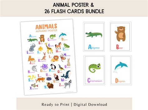 Animal Alphabet Poster and Flashcards, Printable Homeschool Education ...