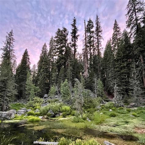 Best camping in Lassen National Forest | The Dyrt