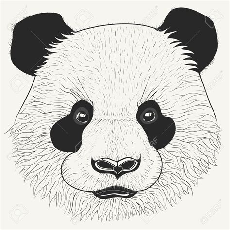 Panda Face Sketch at PaintingValley.com | Explore collection of Panda ...