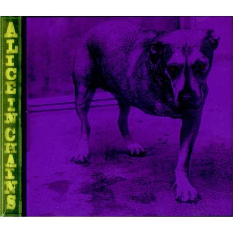 Alice In Chains – Alice In Chains (1995, Purple, DADC Pressing, CD) - Discogs