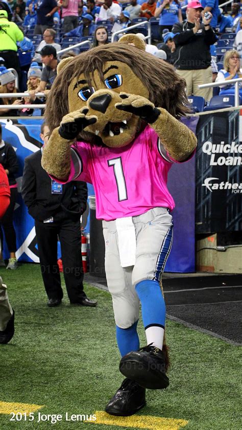 Fans and mascot Roary at Ford Field during the Detroit Lions game ...