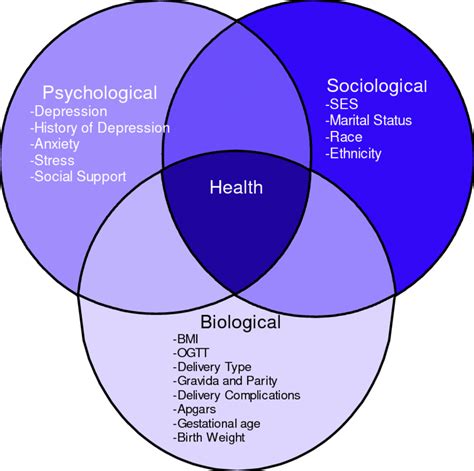 The Biopsychosocial Model for the Study of Depression and Gestational ...