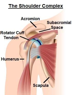 Subacromial Impingement - Gregory Nicholson MD | Gregory Nicholson MD