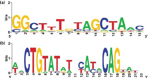 The sequence logo for (A) the motif implanted in each sequence for the ...