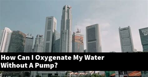 How Can I Oxygenate My Water Without A Pump? [2024 Guide] - Gold Koi Fish