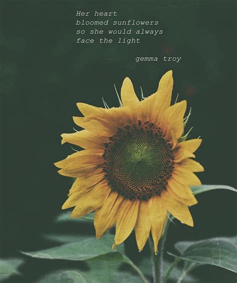 Sunflower Pictures With Quotes - SUNFLOWER