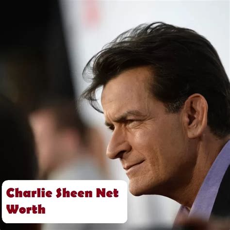 Charlie Sheen Net Worth 2024: Professional Career, Personal Life, Drug ...