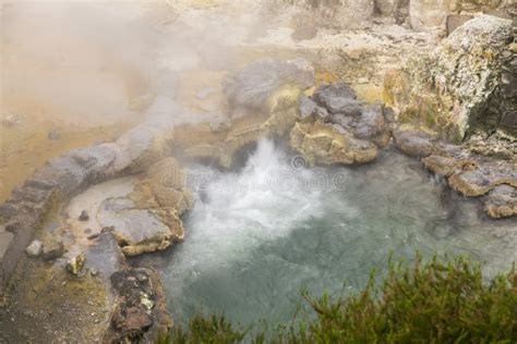 Hot springs at the Azores stock photo. Image of portugal - 21448502