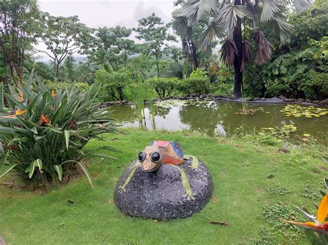 Cerca de 700 especies se conservan en el Jardín Botánico de Guayaquil ...