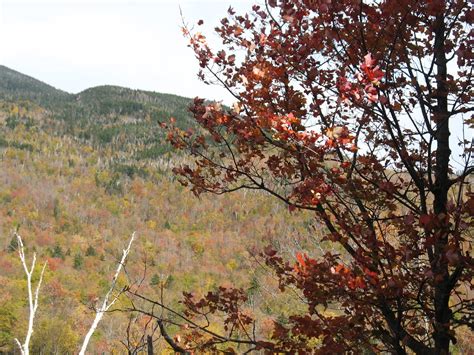 Appalachian Mountain Club Nature Notes: Fall Foliage Update 10/8