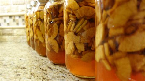 How To Make Homemade Apple Brandy Recipe | Besto Blog